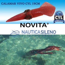 Calamaro  CYL 19 cm