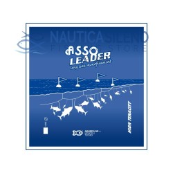 Asso Leader