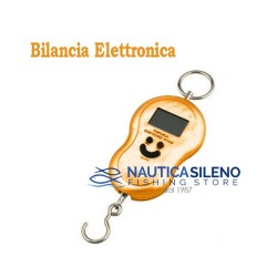 Bilancia Elettronica